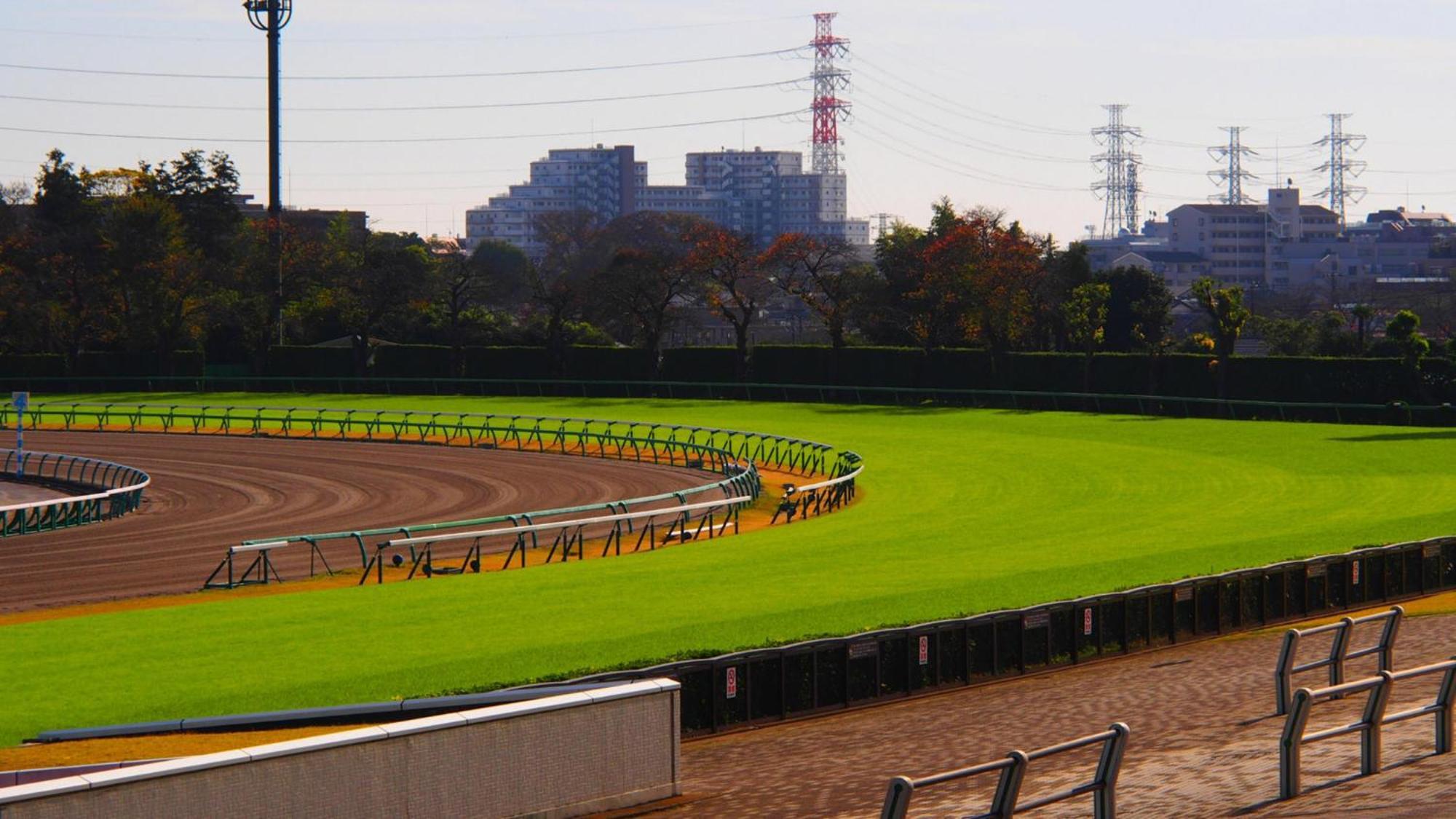 איצ'יקאווה Toyoko Inn Nishi Funabashi Baraki Inter מראה חיצוני תמונה